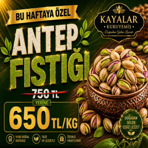 ANTEP FISTIĞI